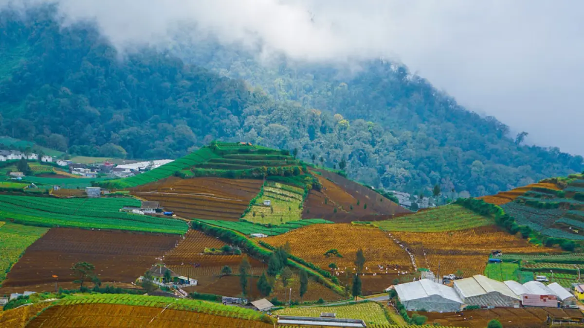 Pemandangan Kabupaten Malang. Sejukan kan ........... F. unsplash