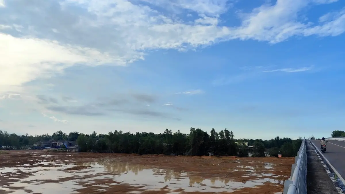 Kondisi kawasan mangrove di Jembatan Dompak usai dibabat dan ditimbun, Rabu (20/5). F. Mohamad Ismail/Batam Pos