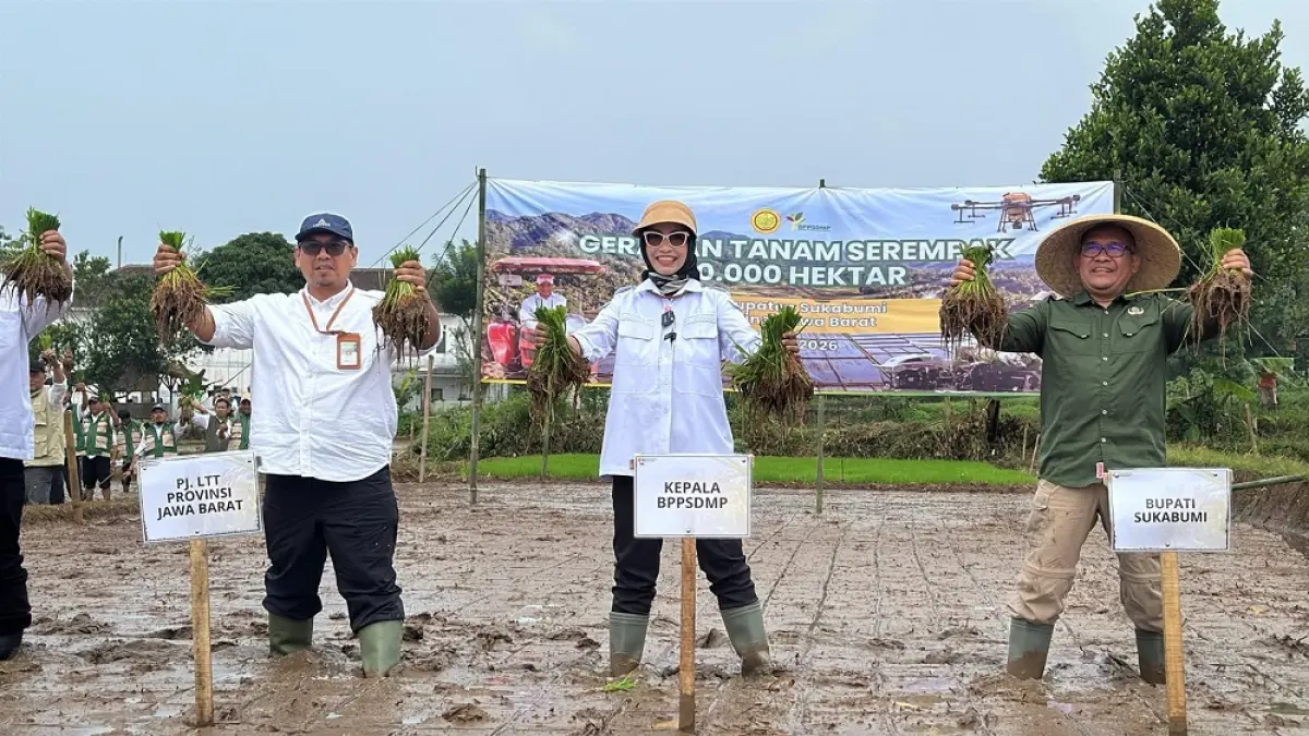 Kegiatan tanam serentak nasional untuk menjaga produksi pangan dan swasembada pertanian. (Istimewa)