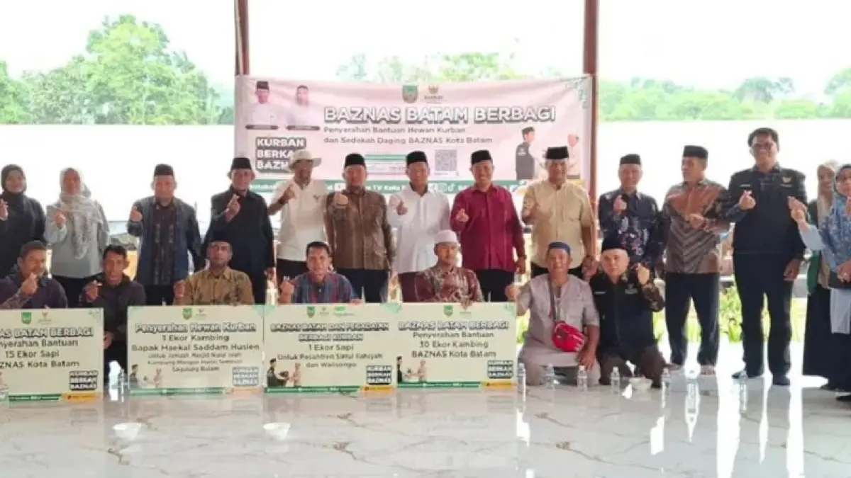 BAZNAS Kota Batam menyalurkan bantuan 15 sapi dan 30 kambing kepada masyarakat mustahik menjelang Iduladha. (Istimewa)
