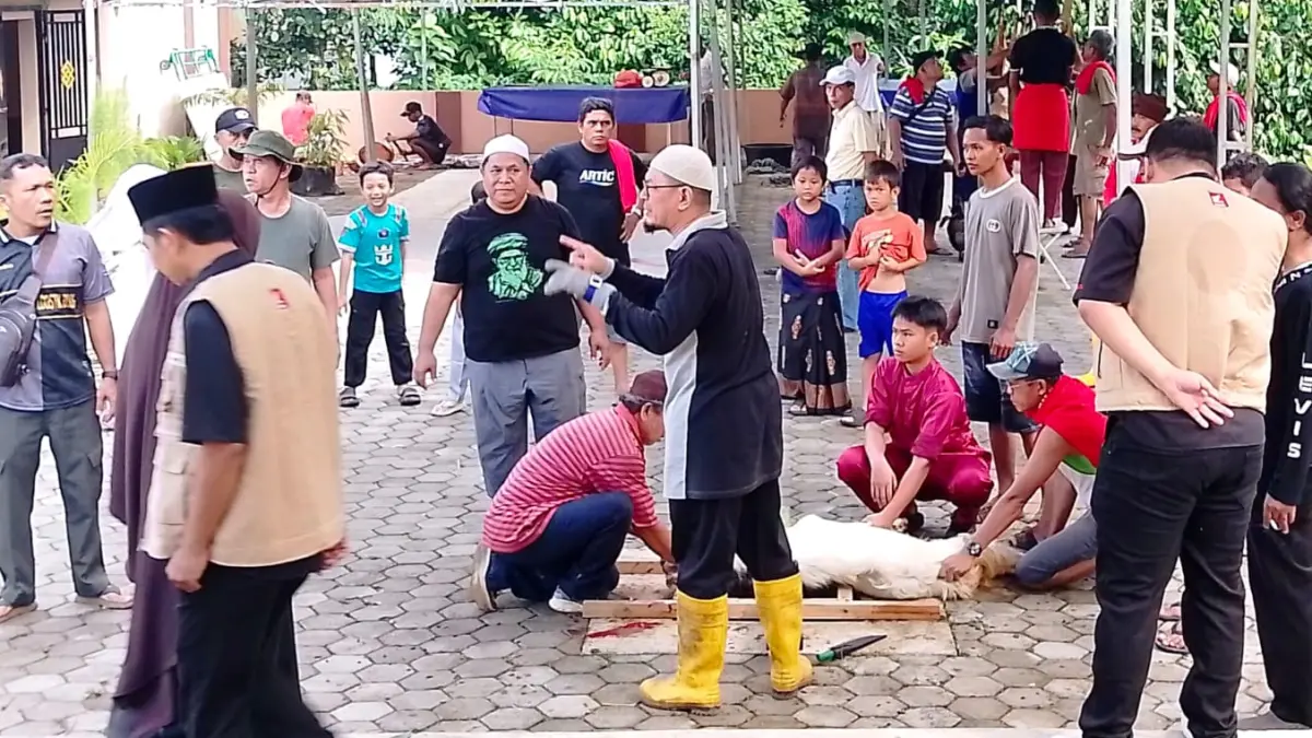 Pemotongan hewan kurban di Masjid Al Multazam, Tanjungpinang.