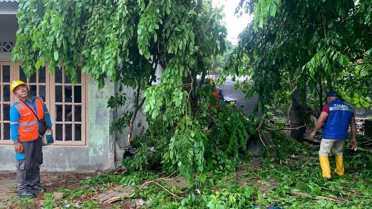 Petugas Damkar dan PLN saat akan mengevakuasi pohon tumbang menimpa atap rumah warga di Jalan Nyiur, Kampung Paya Lebar, Tanjung Uban Kota, Kecamatan Bintan Utara pada Jumat (29/5/2026) siang. F. Damkar Tanjunguban untuk Batam Pos