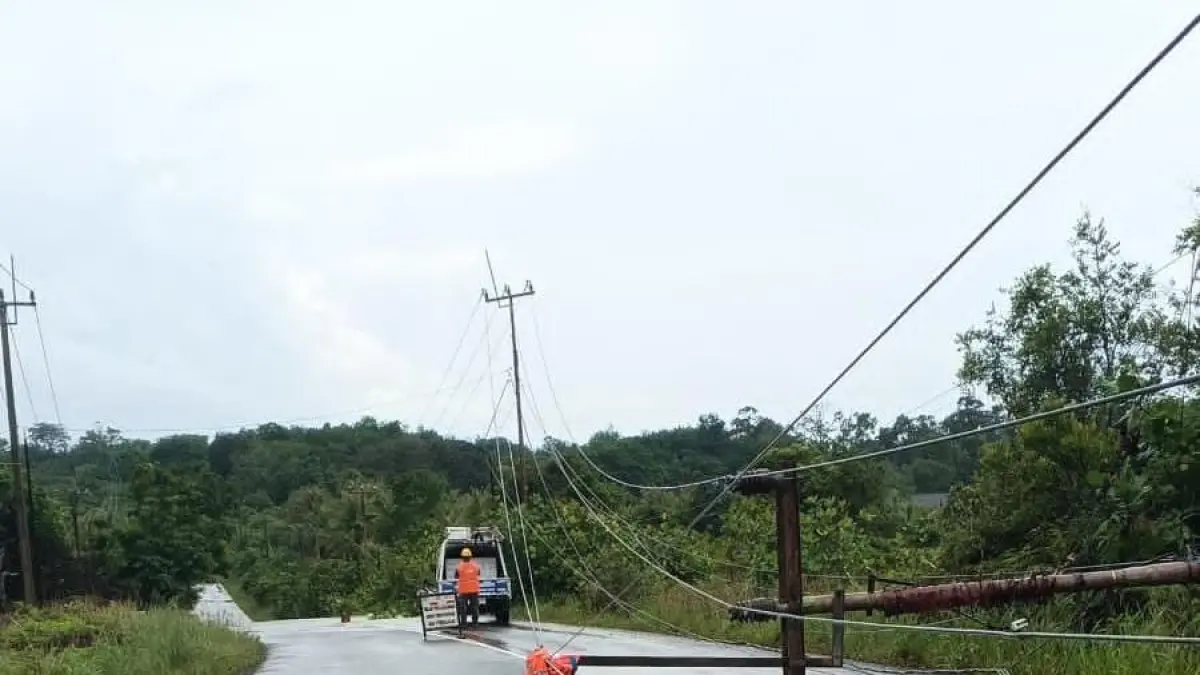 Tiang listrik di kawasan Senggarang Tanjungpinang tumbang ke jalan usai diterjang angin kencang, Rabu (17/6). F. PLN Bintan Center untuk Batam Pos