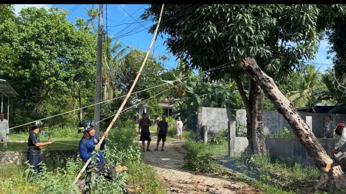 Petugas Damkar dibantu warga menebang pohon yang rawan tumbang di Jalan M Taher Latif, Tanjunguban, Kecamatan Bintan Utara pada Jumat (19/6/2026), untuk mencegah korban. F. Damkar Tanjunguban untuk Batam Pos