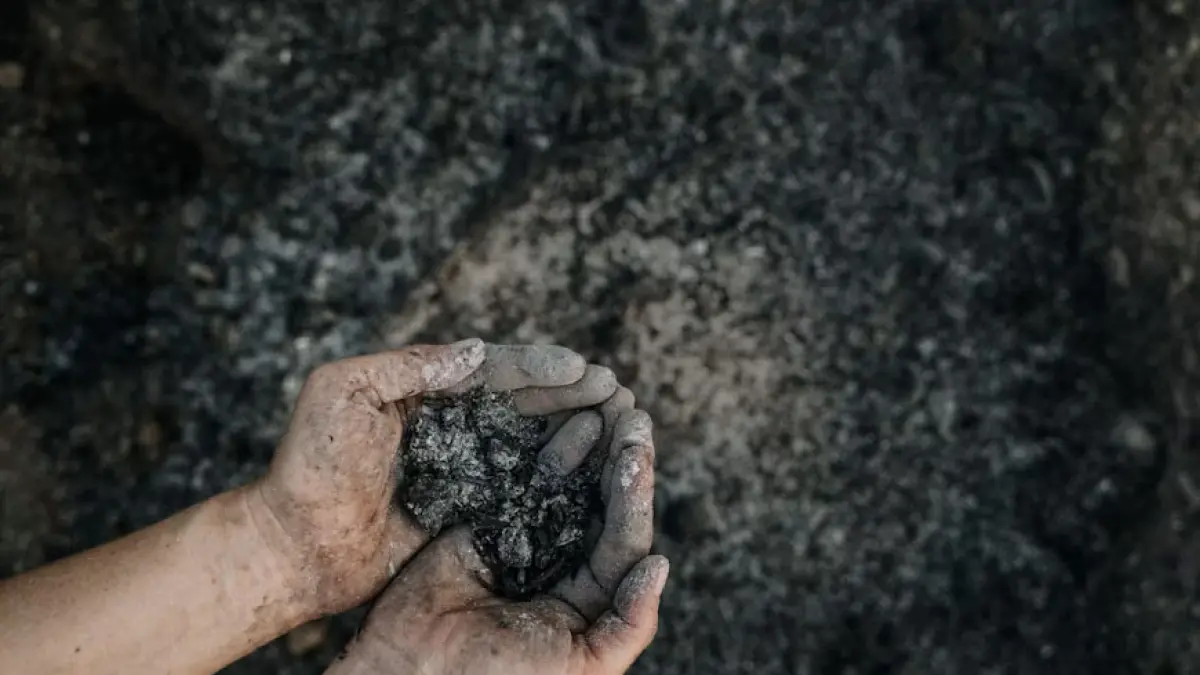Pasokan batu bara untuk pembangkit listrik PT PLN (Persero) dalam kondisi aman.  F. Unsplash