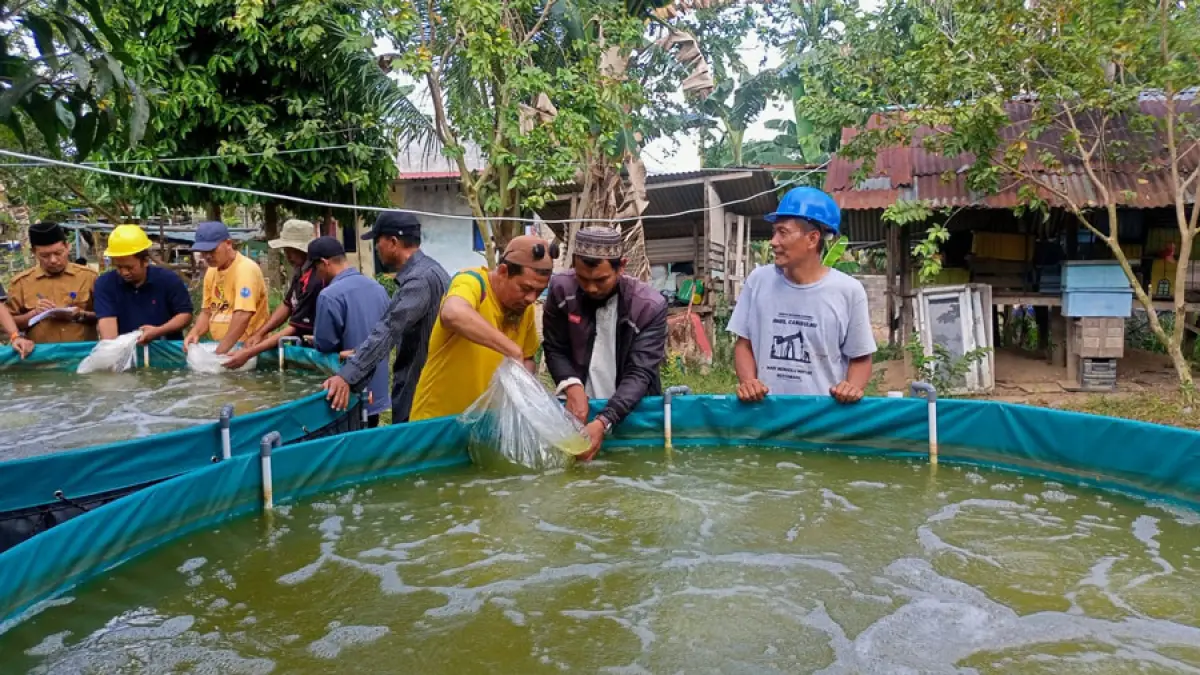 Bioflok,  mendorong pengembangan dan peningkatan produksi ikan air tawar melalui teknologi budidaya ramah lingkungan.   F. Rengga / Batam Pos