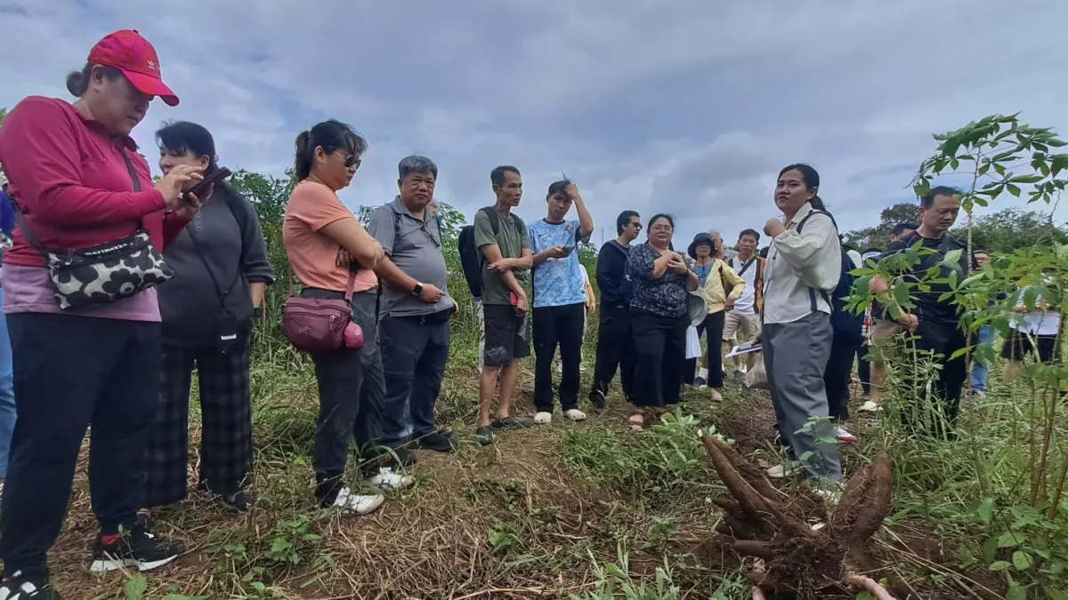 Rombongan wisatawan asal Singapura mengunjungi kebun petani di Kampung Sungai Jeram, Desa Lancang Kuning, Kecamatan Bintan Utara, Kamis (25/6/2026). F.Slamet Nofasusanto/ Batam Pos