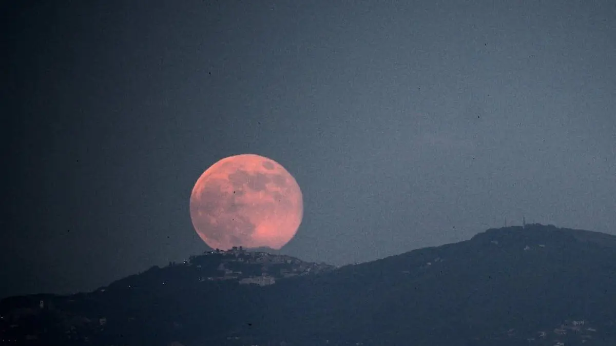 Strawberry Moon. (x.com/forallcurious)