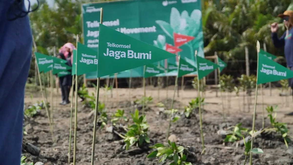 Telkomsel menanam 3.000 pohon mangrove di kawasan pesisir Nagari Sungai Pinang, Kabupaten Pesisir Selatan, Sabtu (4/7/2026). Foto: Istimewa