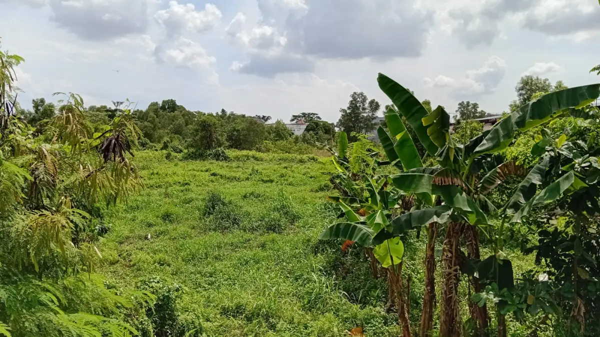 Kondisi lahan seluas 4 hektare milik Yayasan Isenabasa yang diduga dialihkan sepihak tanpa sepengetahuan pengurus di kawasan Batamcenter, saat tim pengurus mengunjunginya beberapa waktu lalu. F Ist untuk Batam Pos
