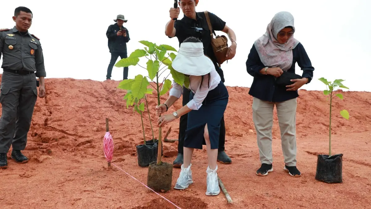 Wakil Kepala BP Batam, Li Claudia Chandra, menanam pohon di lokasi bekas tambang pasir ilegal yang berada di Kampung Jabi, Kecamatan Nongsa. Foto: Humas BP Batam