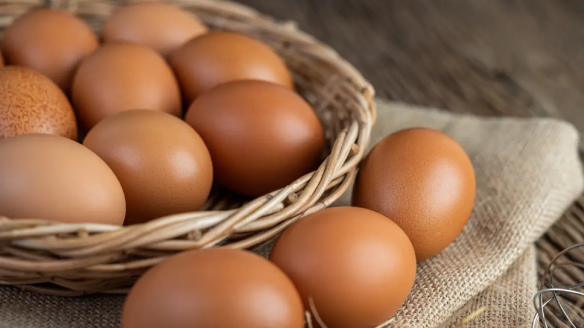 Menu telur dihapus di MBG India. (Freepik)