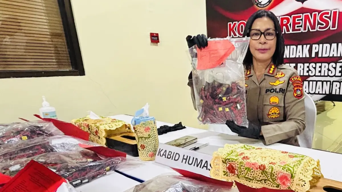 Kabid Humas Polda Kepri, Kombes Pol Priscillia Nona Ohei menunjukkan ribuan bungkus catridge vape mengandung etomidate saat pengungkapan di Mapolda Kepri, Nongsa, Rabu (16/7/2026) lalu. F Chahaya Simanjuntak/Batam Pos