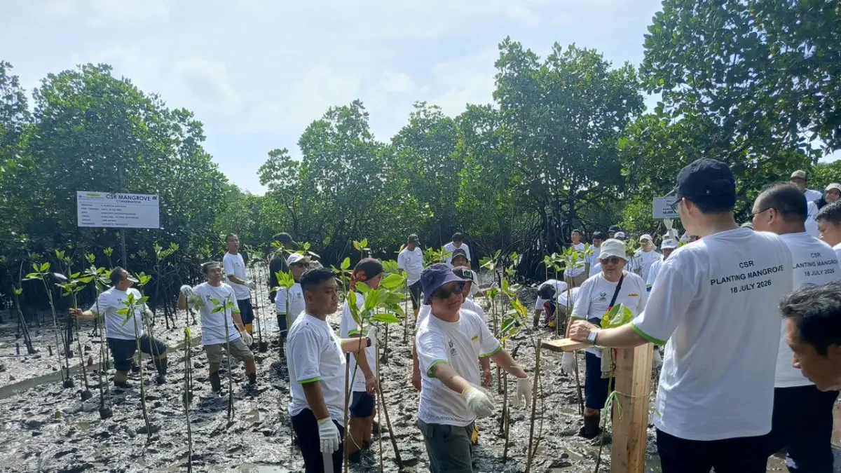Suasana Manajemen PT Rubycon bersama pihak terkait menanam 2.000 bibit mangrove di Tanjungpiayu, Sabtu (18/7/2026). F. Eusebius Sara/Batam Pos