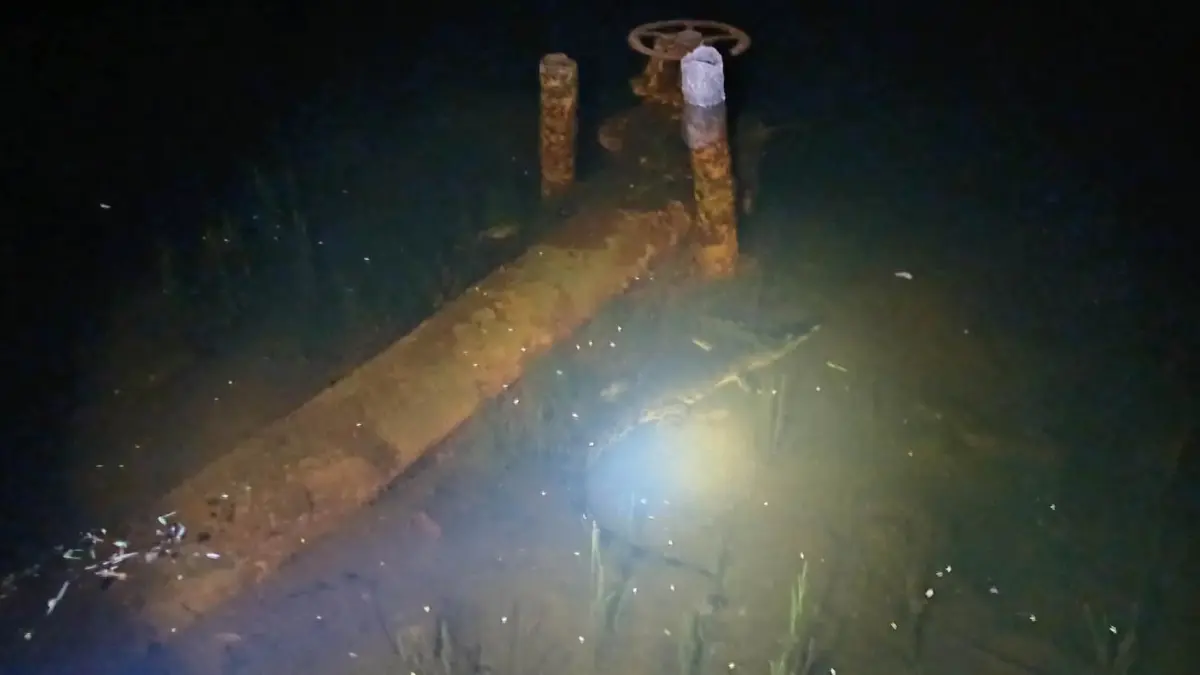 Postingan yang beredar di media sosial yang memperlihatkan buaya di kolam Sungai Lepah. F.istimewa