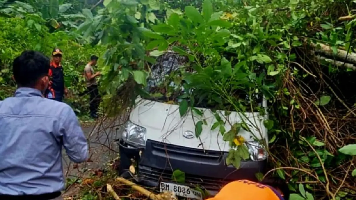 Proses evakuasi mobil tertimpa pohon di Kabupaten Kepulauan Anambas pada Sabtu (25/7/2026). ANTARA/HO-Polres Kepulauan Anambas