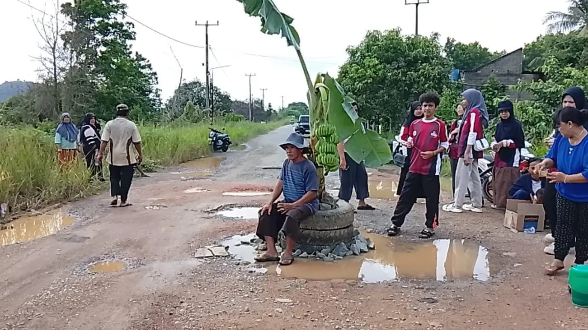 Sejumlah warga melakukan aksi damai menanam pohon pisang di jalan rusak di Jalan Agro, Desa Gunung Kijang, Kecamatan Gunung Kijang, Bintan pada Senin (27/7/2026). F.Marto untuk Batam Pos