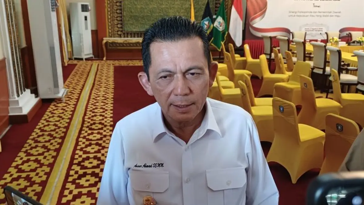 Gubernur Kepulauan Riau Ansar Ahmad. ANTARA/Ogen