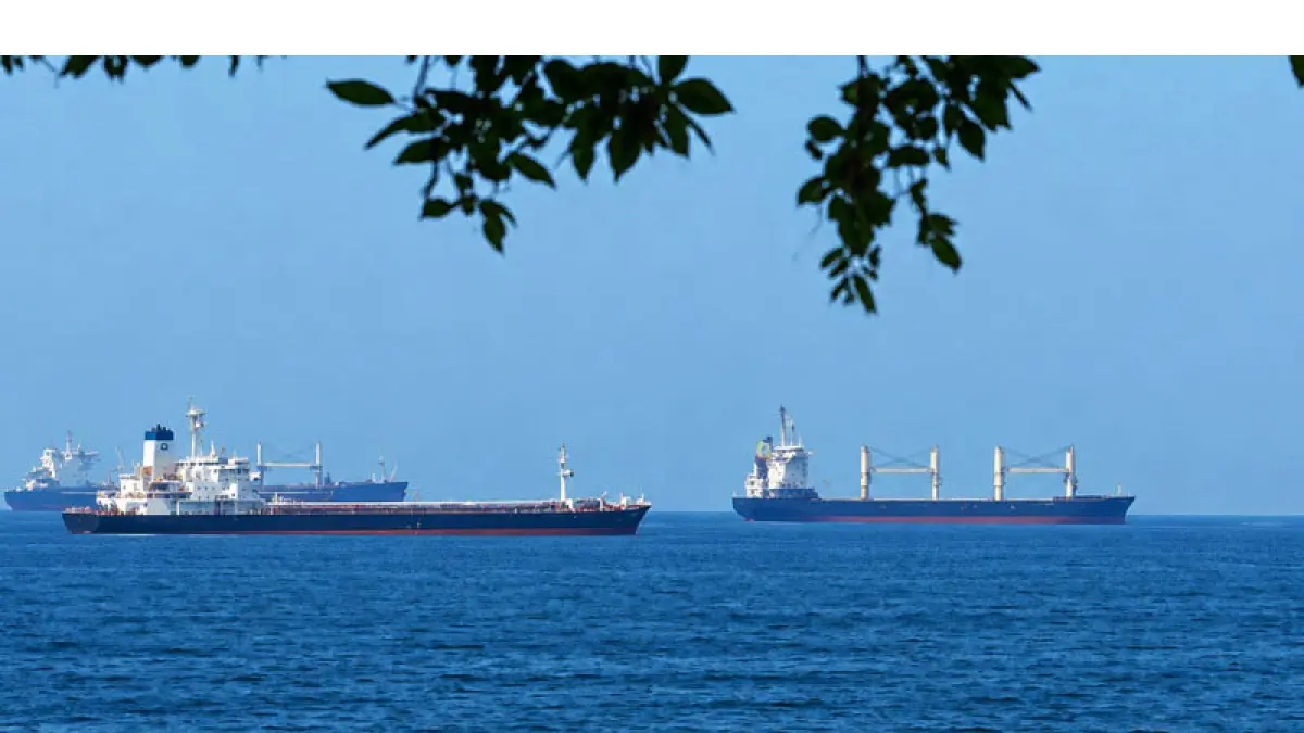 Kapal kargo komersial dan kapal tanker minyak mentah berlabuh di Teluk Oman, di lepas pantai Muscat, Oman saat mereka bersiap melintasi Selat Hormuz pada 21 Juni 2026. Foto: ANTARA/Shady Alassar-Anadolu Agency/pri