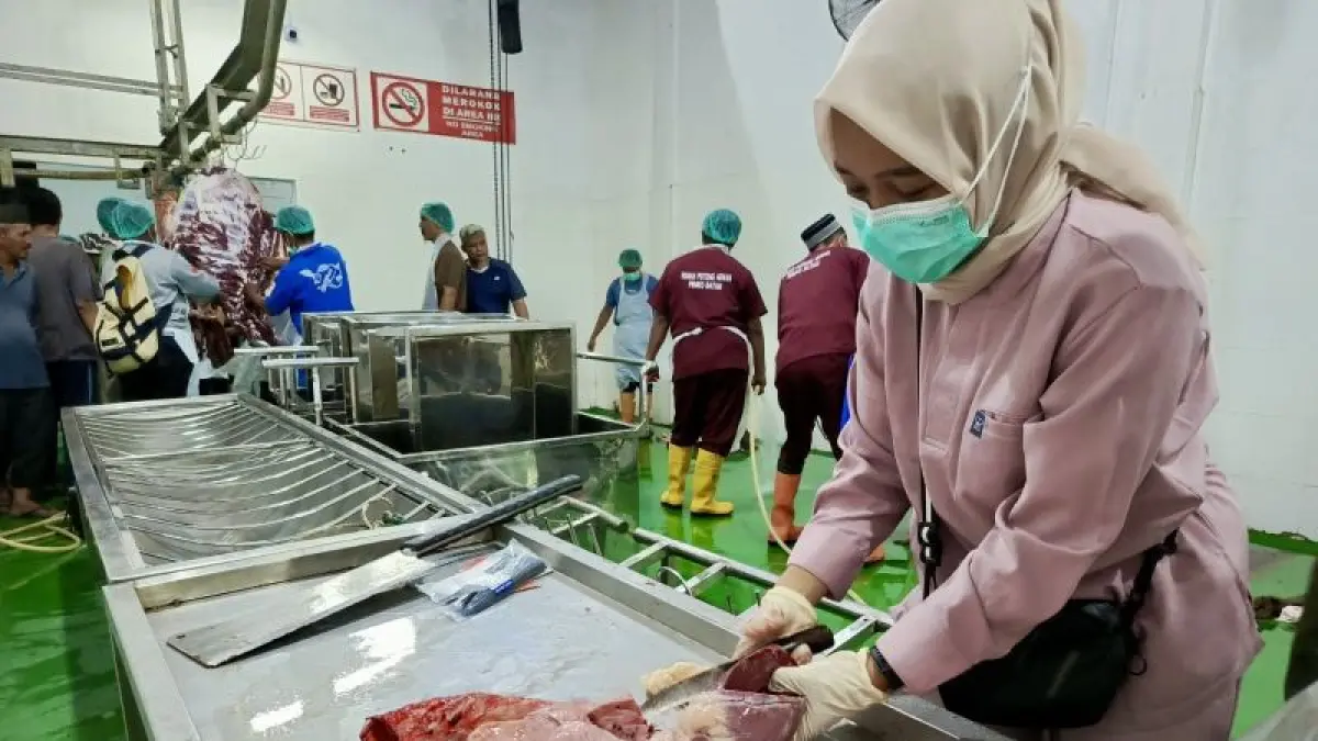 Pemeriksaan ante mortem oleh dokter hewan di Rumah Potong Hewan di Batam, Kepri. (ANTARA/HO-RPH Batam)

