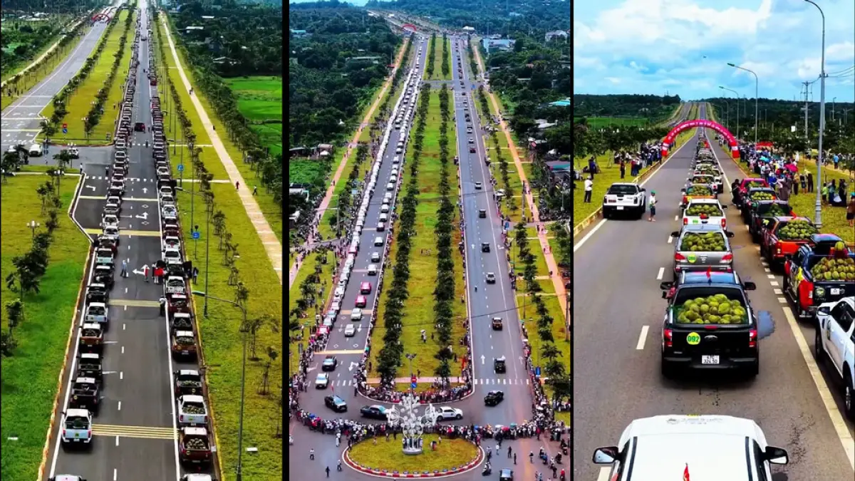 Lebih dari 500 kendaraan pikap yang membawa durian berkonvoi dalam Festival Durian Dak Lak 2026 di Vietnam dan berhasil mencatatkan Guinness World Record sebagai parade kendaraan pengangkut buah terbesar di dunia.