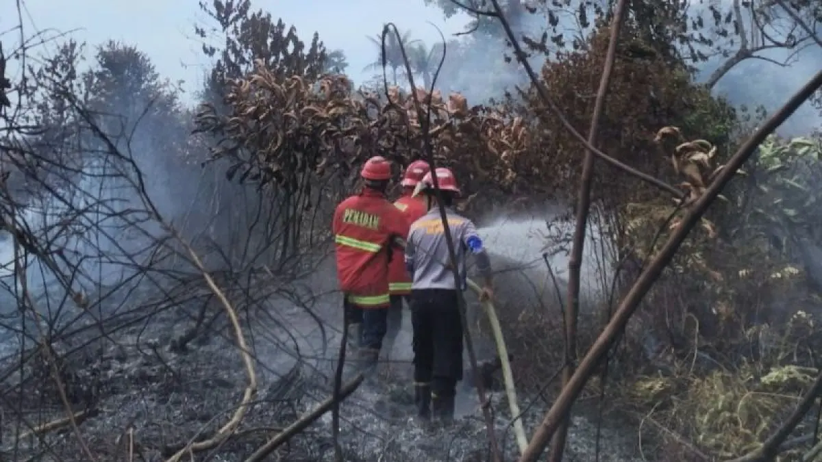 Petugas Disdamkarmat Natuna saat memadamkan api yang membakar hutan di Pulau Bunguran Besar pada Agustus 2026. ANTARA/HO-Pemkab Natuna