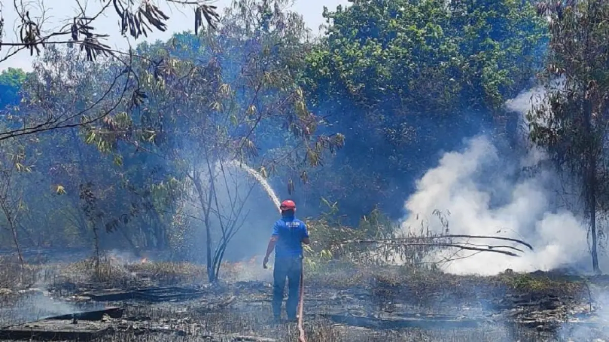 Petugas Damkar dan warga melakukan pemadaman lahan di Bukit Cincin. Foto: Istimewa 