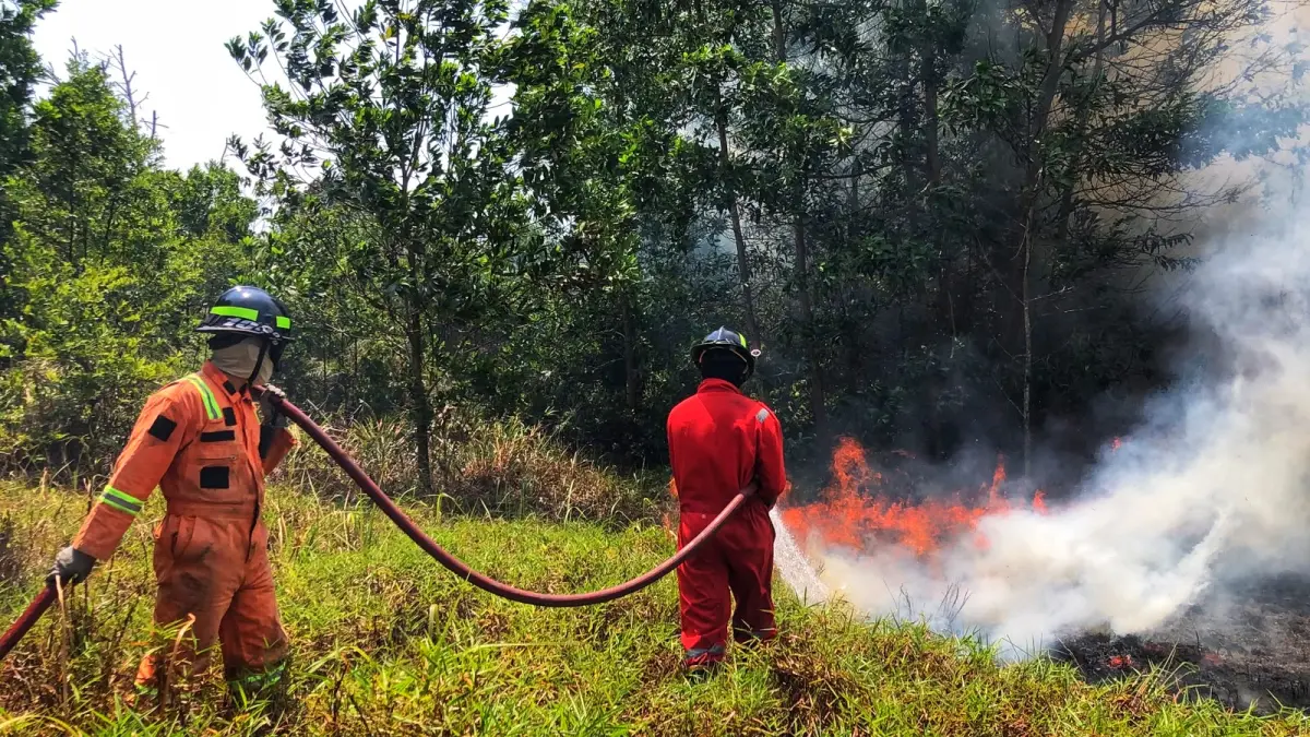 Petugas Damkar Tanjunguban memadamkan api di lahan yang terbakar di Jalan Panca Marga, Kampung Pasir 1, Desa Sebong Pereh, Kecamatan Teluk Sebong pada Minggu (23/8/2026) siang. F.Damkar Tanjunguban untuk Batam Pos.