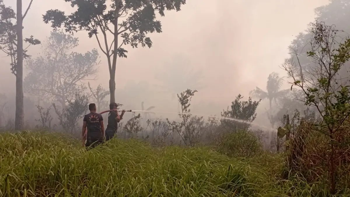 Petugas memadamkan api yang membajar lahan di Jalan Trans Barelang, Kelurahan Tembesi, Sagulung, Sabtu (22/8). F.Istimewa