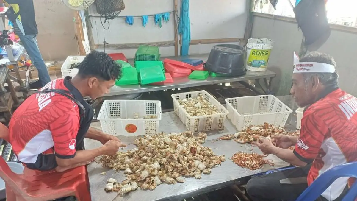 Foto ilustrasi dua orang pekerja tengah mengupas kulit ketam rajungan di Kampung Bugis, Kota Tanjungpinang, Kepri, Senin (24/8/2026). ANTARA/Ogen
