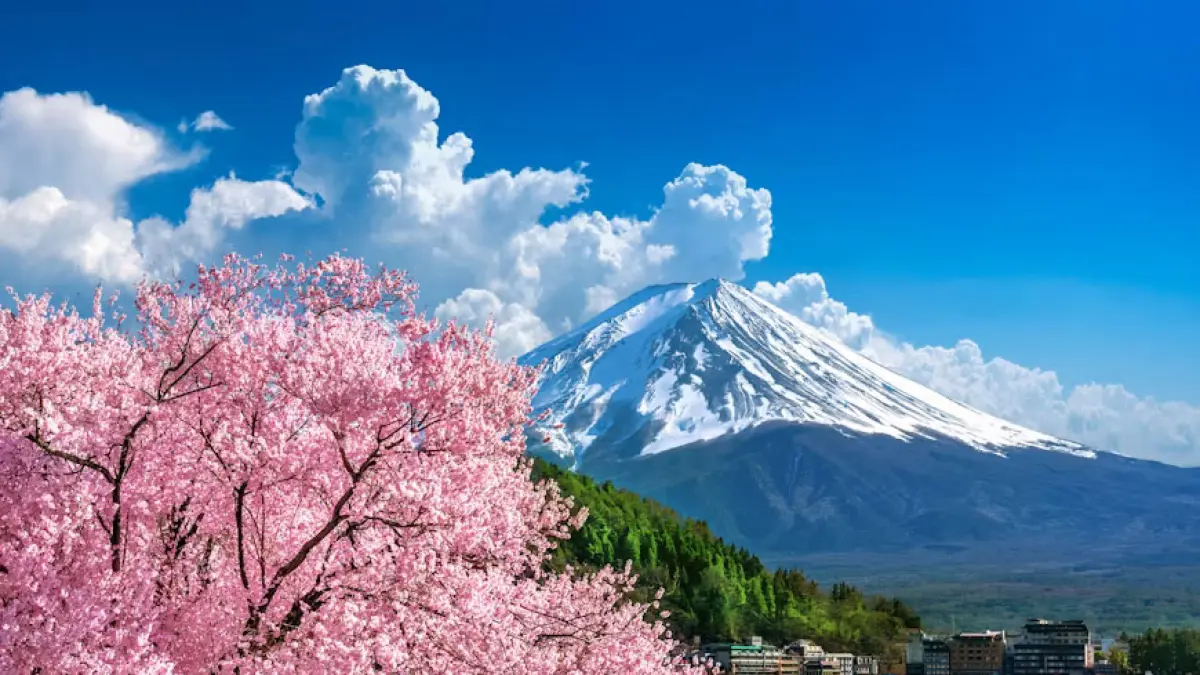 Fujiyama F. Unsplash