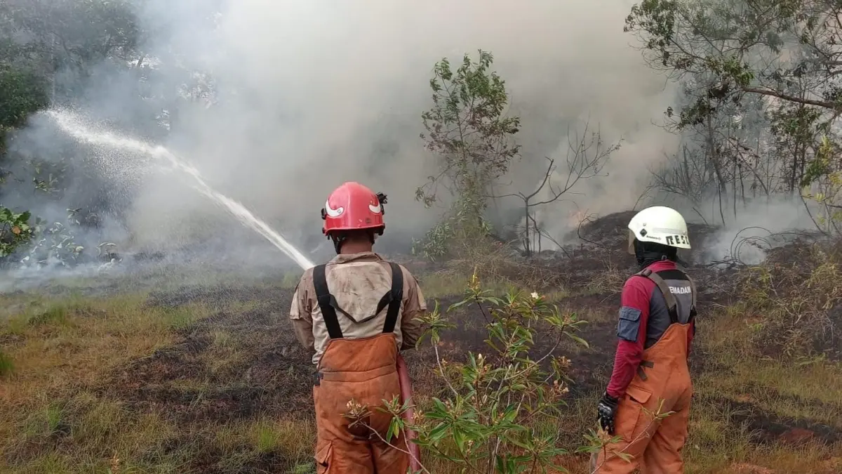 Petugas damkar Tanjungpinang saat memadamkan api yang membakar lahan di Tanjungpinang Timur. F. Mohamad Ismail/Batam Pos