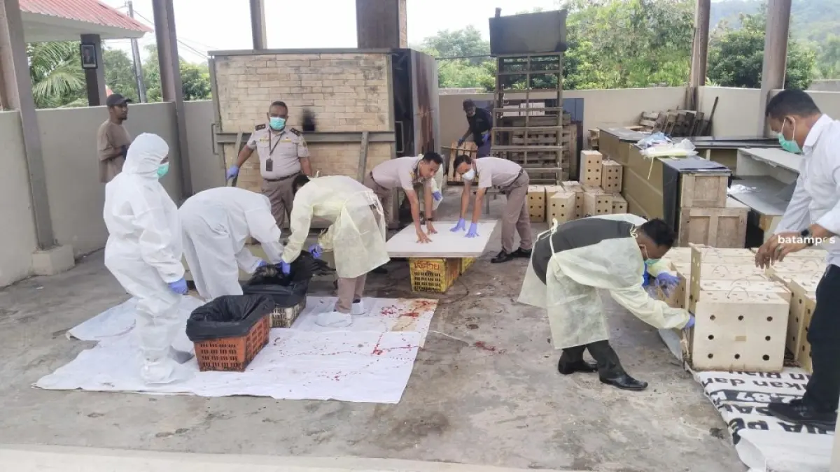 Sebanyak 51 ekor ayam yang diduga masuk dari Malaysia tanpa dilengkapi dokumen dan sertifikat kesehatan hewan dimusnahkan Kantor Karantina Batam.