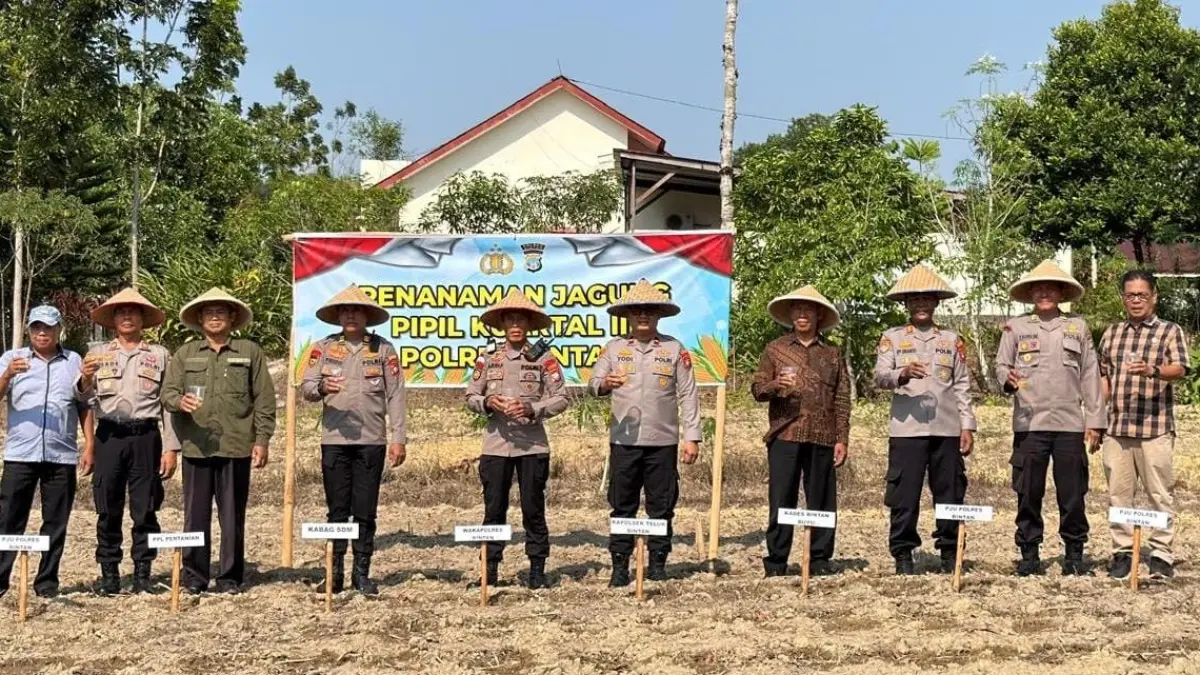 Wakapolres Bintan, Kompol Ahmad Rudi Prasetyo saat kegiatan penanaman jagung pipil di lahan Mapolres Bintan, Bintan Buyu, Kamis (3/9/2026). F.Kiriman H.P Bako untuk Batam Pos