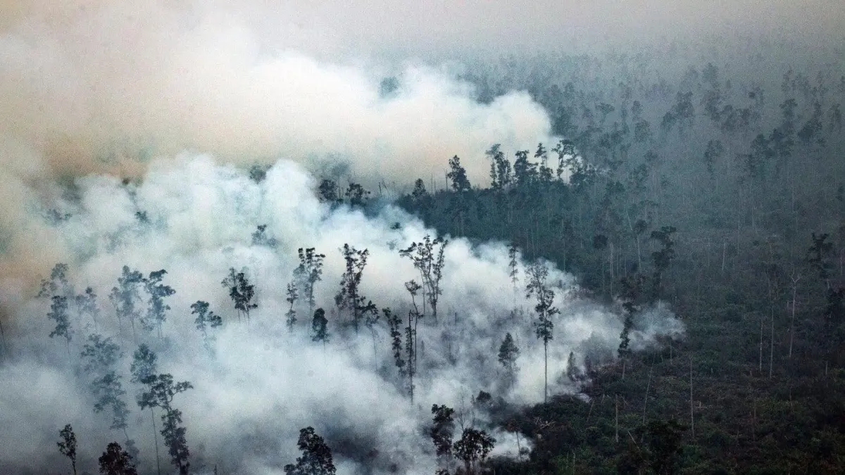 &nbsp;Kabut asap akibat kebakaran hutan dan lahan di Indonesia berpotensi terbawa hingga wilayah negara tetangga. Kondisi tersebut turut menjadi pertimbangan pemerintah Filipina menangguhkan pembelajaran tatap muka di 17 wilayah.