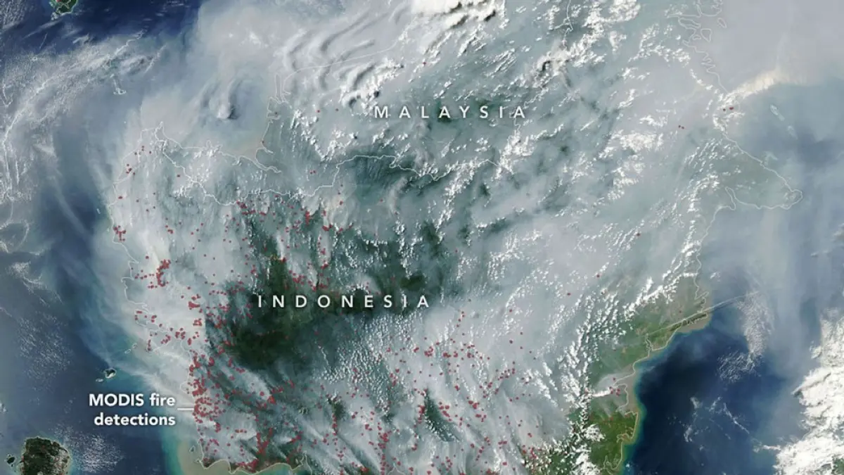 Foto satelit Aqua milik NASA yang menangkap citra udara wilayah kebakaran hutan dan lahan di atas langit Indonesia. Foto: NASA Earth