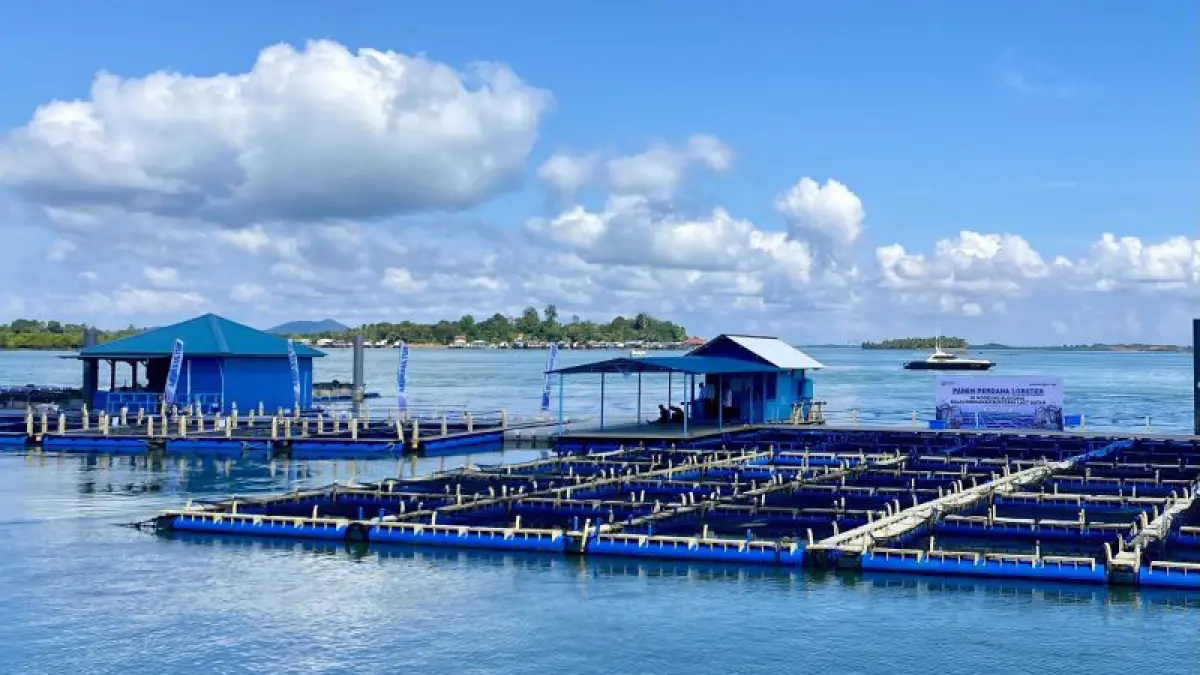 Floating net cages for fish and lobster farming at the Batam Marine Aquaculture Center, Riau Islands. /ANTARA/Amandine Nadja.