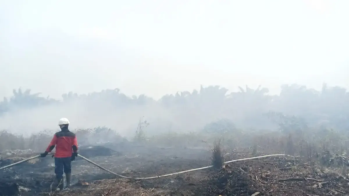 Ilustrasi kebakaran hutan dan lahan (karhutla). (Istimewa)