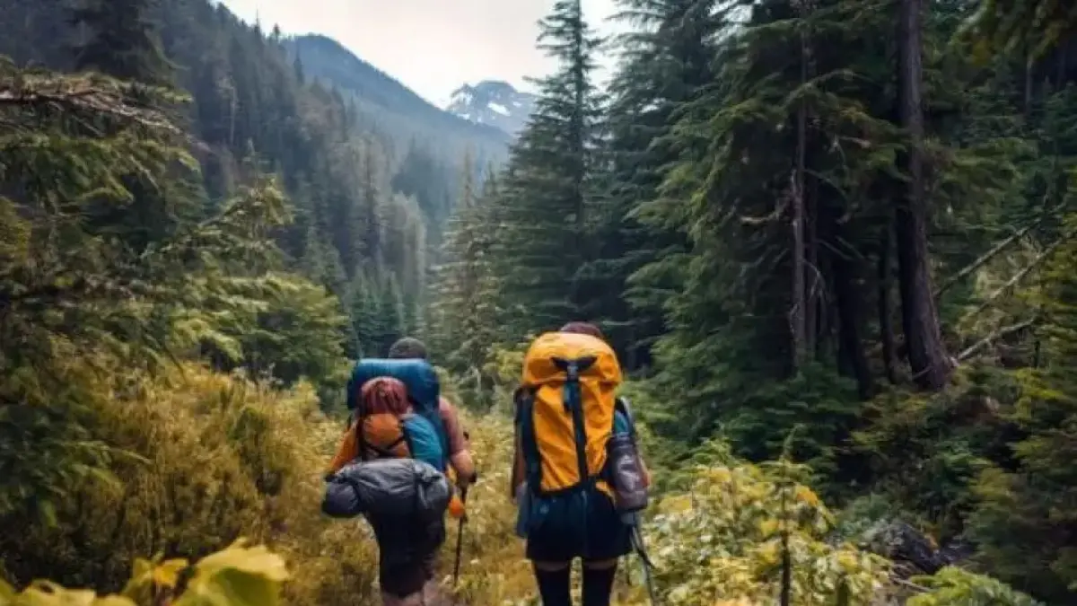 Ilustrasi hiking/Magnific