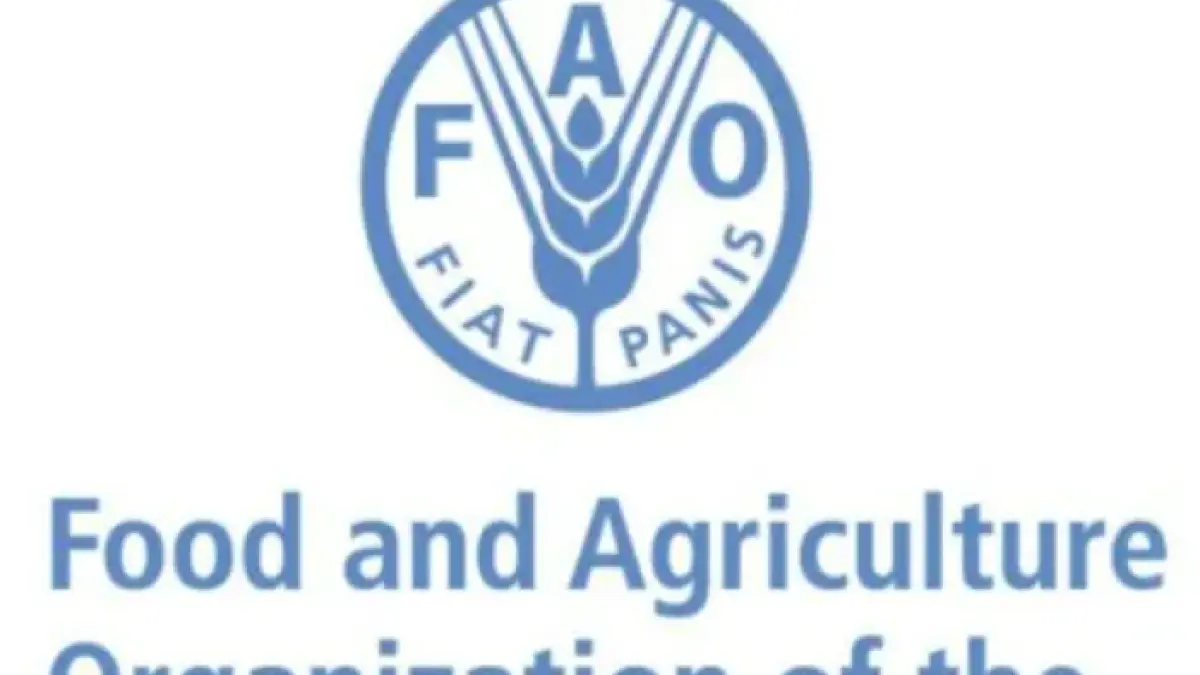 Ilustrasi FAO.