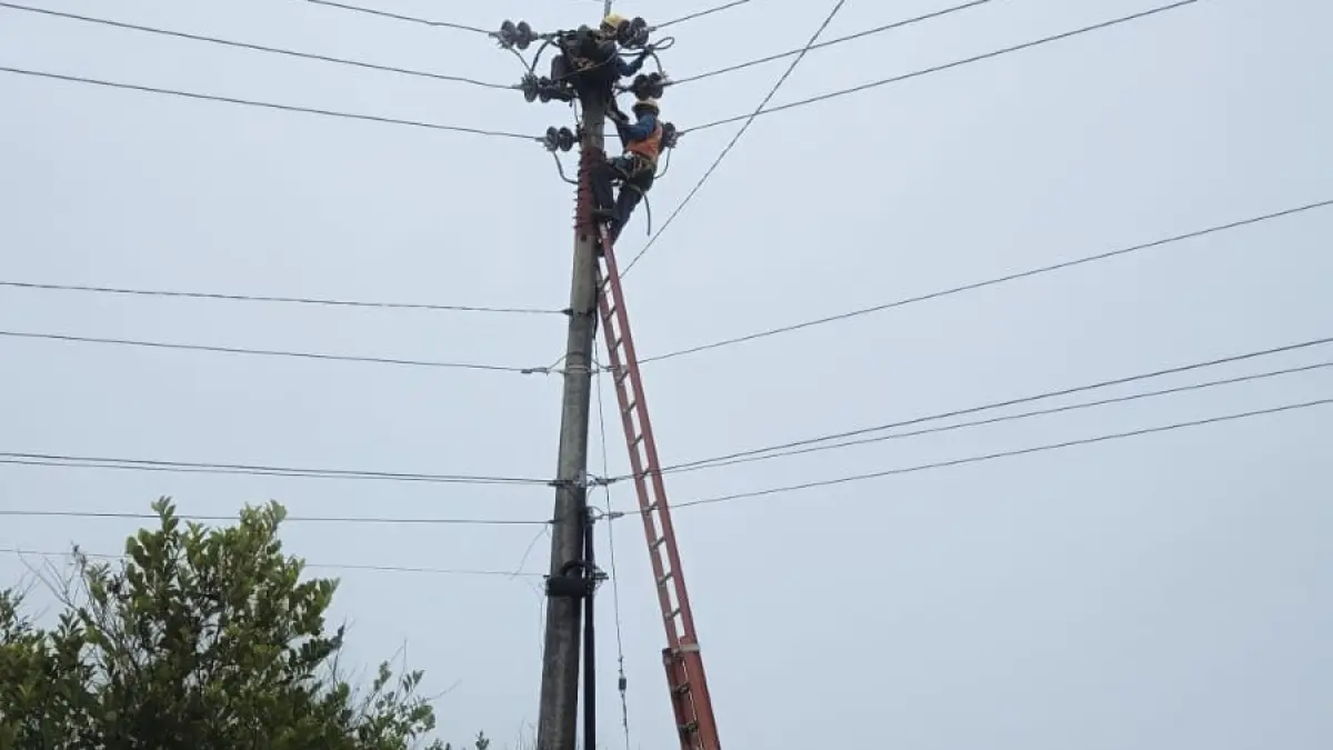 Pemeliharaan trafo daya 1 yang dikerjakan petugas PLN Tanjunguban, Selasa (15/9/2026). F.Kiriman Husni Armi untuk Batam Pos