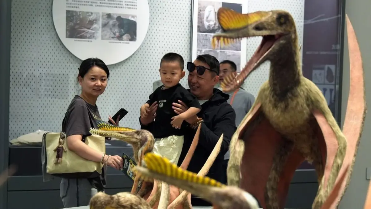 Sebuah museum sains yang berfokus pada pterosaurus, reptil bersayap yang memiliki hubungan dekat dengan dinosaurus, dibuka pada hari Minggu di Daerah Otonomi Uygur Xinjiang di barat laut China.  F. @PDChinaLife