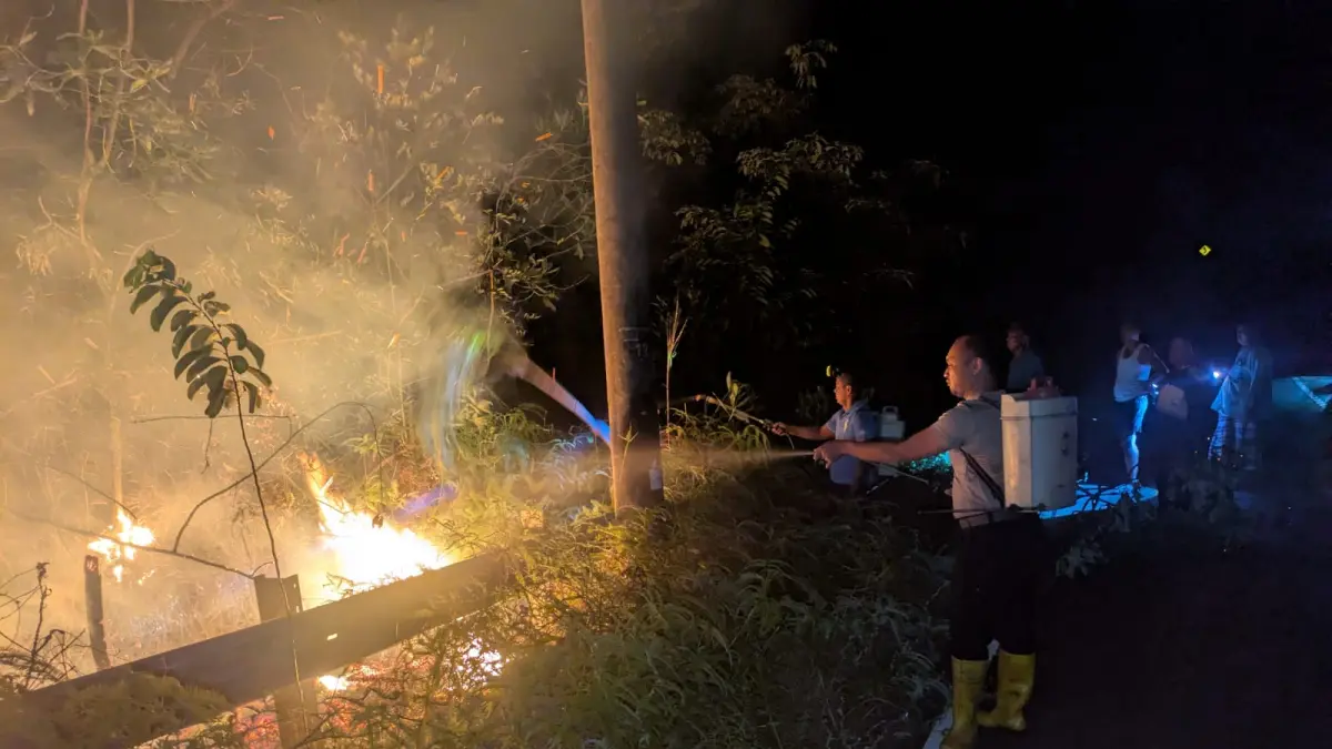 Tim gabungan berupaya memadamkan kebakaran lahan di Tembesi, Sagulung. F.Istimewa