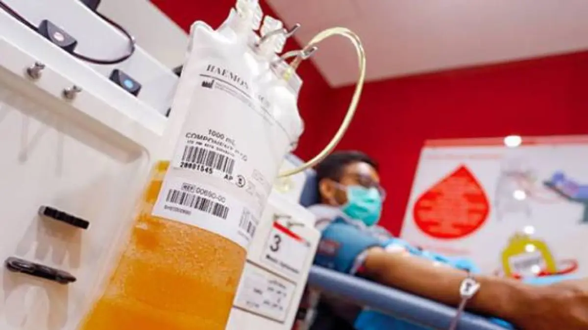 Donor plasma konvalesen di UTD PMI Surabaya. (Jawa Pos)