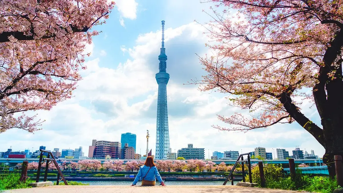 Ilustrasi. Tokyo Skytree yang menjadi ikon kota Tokyo, Jepang. (TripAdvisor)