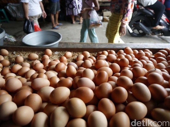 MAHAL: Pedagang telur di Pasar Indrasari Kota Pangkalan Bun, Kabupaten Kotawaringin Barat, Minggu (3/3/2024) (ISTIMEWA/RADAR PANGKALAN BUN)