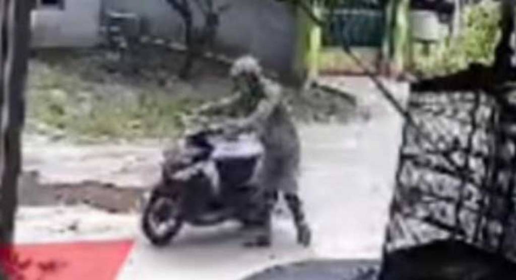 CURANMOR: Seorang pria terekam kamera CCTV mencuri sepeda motor di Jalan Tidar Baru, Baamang, Sampit, Senin (8/7) lalu. TANGKAPAN LAYAT/RADAR SAMPIT