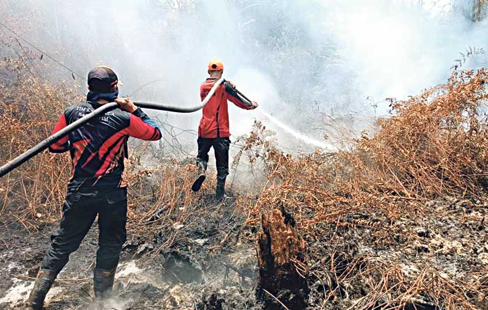 PENGENDALIAN API: Petugas saat memadamkan api di lahan yang terbakar, beberapa waktu lalu.