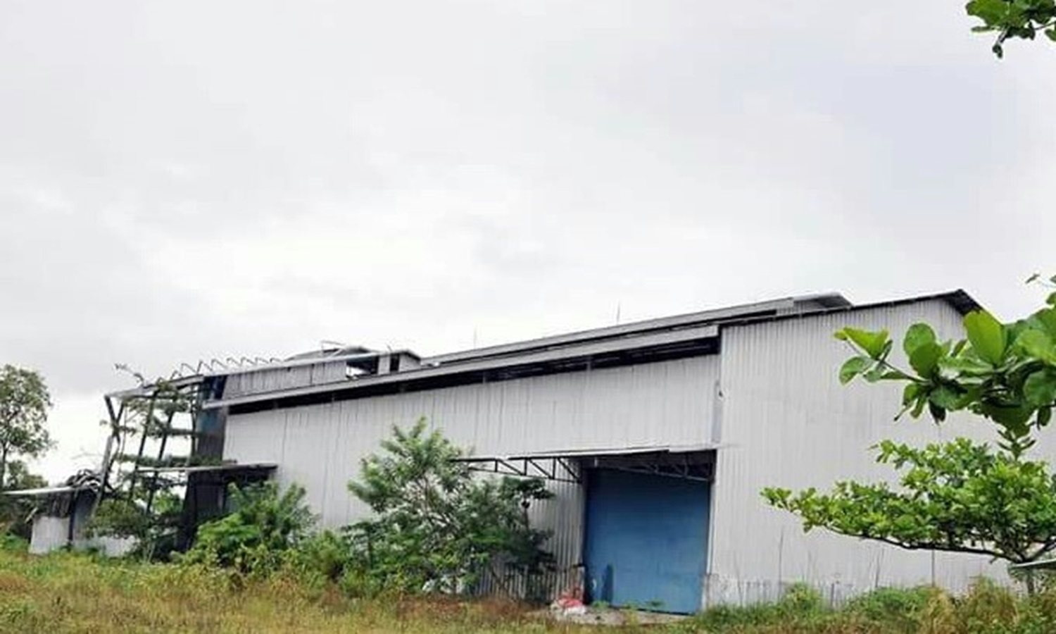 Lokasi PD Agrotama Mandiri (Dok. Radar Sampit)