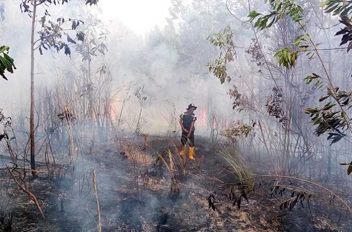 ILUSTRASI: Petugas memadamkan api kebakaran hutan dan lahan. Foto: BPBD Banjarbaru for Radar Banjarmasin